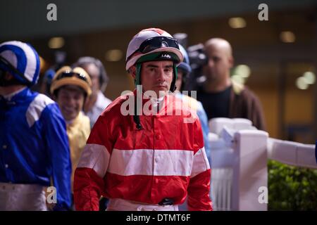 Meydan Racecourse, Dubai, EAU. Xx Febbraio 2014. Fergal Lynch entra nella Parade Ring prima lo start di Gara 5 della settima riunione del Dubai World Cup carnevale di Meydan Racecourse Credito: Tom Morgan/Alamy Live News Foto Stock