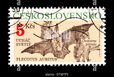 Francobollo dalla Cecoslovacchia raffigurante un marrone long-eared bat o comune di lungo-eared bat (Plecotus auritus) Foto Stock