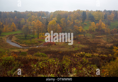 In autunno la foresta e il fiume di curvatura Foto Stock