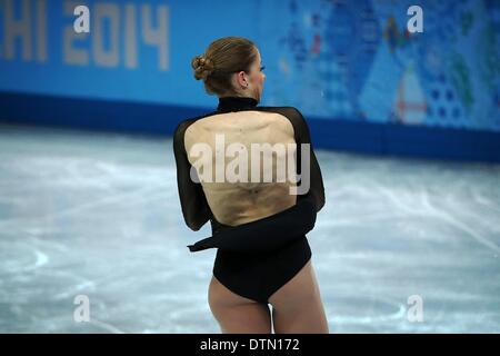 Sochi, Russia. Xx Febbraio 2014. Carolina Kostner d'Italia svolge in campo femminile pattinaggio gratuito la figura pattinare evento al pattinaggio Iceberg Palace durante il Sochi 2014 Giochi Olimpici. Credito: dpa picture alliance/Alamy Live News Foto Stock