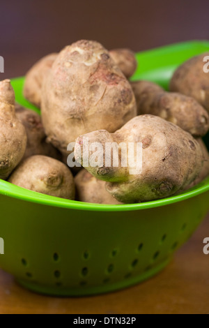 Helianthus tuberosus. Carciofi di Gerusalemme in un colapasta verde. Foto Stock