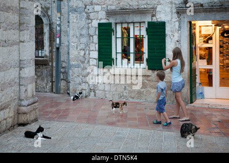 I gatti e i bambini nelle strade di Kotor, Montenegro Foto Stock