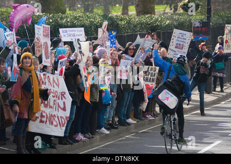 Londra, 21 febbraio 2014. Attivisti per i diritti degli animali protesta al di fuori dell'Ambasciata giapponese a Londra contro il massacro dei delfini nel Taiji Cove. Credito: Paolo Davey/Alamy Live News Foto Stock