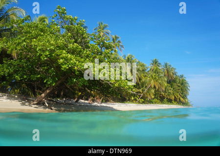 Spiaggia sabbiosa tropicale con vegetazione bellissima, vista dalla superficie dell'acqua, il mare dei Caraibi, Costa Rica Foto Stock