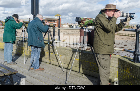 Gli amanti del birdwatching guardando fuori per uccelli con cavalletti e lunghi teleobiettivi. Twitchers nel West Sussex, in Inghilterra, Regno Unito. Foto Stock