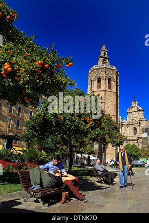 Una vista generale delle persone nella Plaça de la Reina con alberi di arancio, Cattedrale di Valencia e la Miguelete in una giornata di sole Foto Stock