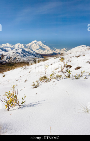 Un inizio di settembre la neve in autostrada Pass con Denali (ex Mt. McKinley) nella distanza. Parco Nazionale e Riserva di Denali, Alaska Foto Stock