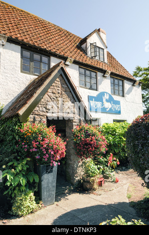 English pub di campagna, il White Hart in Littleton-su-Severn, con il suo grazioso giardino della birra in estate Foto Stock