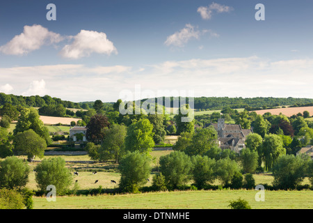 Bella campagna circostante il Cotswolds village di Swinbrook, Oxfordshire, Inghilterra. In estate (Luglio) 2010. Foto Stock