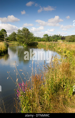 Il Fiume Windrush si snoda attraverso la campagna tra Burford e Swinbrook in Cotswolds, Oxfordshire, Inghilterra. Foto Stock