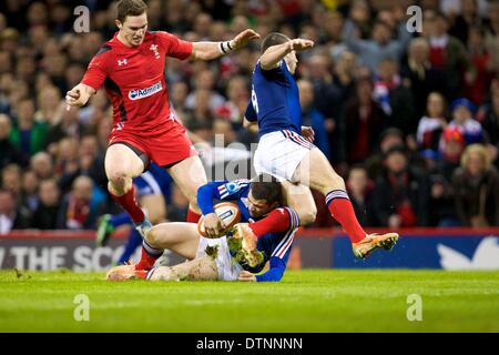 Cardiff, Galles. Il 21 febbraio, 2014. Francia scrum-metà Jean-Marc Doussain (Tolosa) durante Sei Nazioni di gioco tra il Galles e la Francia dal Millennium Stadium. Credito: Azione Sport Plus/Alamy Live News Foto Stock