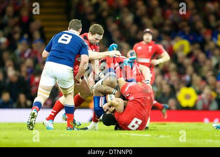 Cardiff, Galles. Il 21 febbraio, 2014. Il Galles scrum-metà Rhys Webb (falchi pescatori) durante Sei Nazioni di gioco tra il Galles e la Francia dal Millennium Stadium. Credito: Azione Sport Plus/Alamy Live News Foto Stock