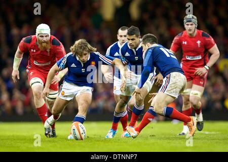 Cardiff, Galles. Il 21 febbraio, 2014. Francia hooker Dimitri Szarzewski (Racing M&#xe9;tro) durante Sei Nazioni di gioco tra il Galles e la Francia dal Millennium Stadium. Credito: Azione Sport Plus/Alamy Live News Foto Stock