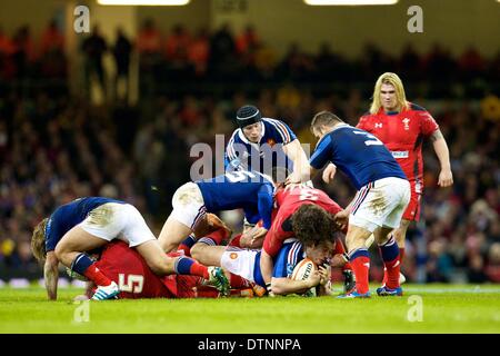 Cardiff, Galles. Il 21 febbraio, 2014. Il Galles scrum-metà Rhys Webb (falchi pescatori) arresta l'attacco francese nel corso del Sei Nazioni di gioco tra il Galles e la Francia dal Millennium Stadium. Credito: Azione Sport Plus/Alamy Live News Foto Stock