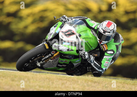 Phillip Island Grand Prix Circuit, Australia. Venerdì, 21 febbraio, 2014. Libere 2, Round 1, 2014 FIM Superbike World Championship. Il pilota francese Jeremy Guarnoni entra Lukey Heights angolo presso la pista di Phillip Island Grand Prix Circuit. Guarnoni ha terminato la sessione di prove libere del XIX più veloce con un migliore tempo sul giro di 1'34.279. Credito: Russell Hunter/Alamy Live News Foto Stock