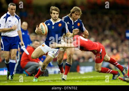 Cardiff, Galles. Il 21 febbraio, 2014. Il Galles fullback Liam Williams (Scarlets) con un flying affrontare durante Sei Nazioni di gioco tra il Galles e la Francia dal Millennium Stadium. Credito: Azione Sport Plus/Alamy Live News Foto Stock