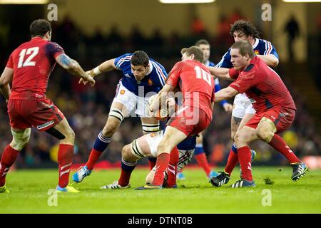 Cardiff, Galles. Il 21 febbraio, 2014. Il Galles fly-half Rhys Priestland (Scarlets) durante Sei Nazioni di gioco tra il Galles e la Francia dal Millennium Stadium. Credito: Azione Sport Plus/Alamy Live News Foto Stock