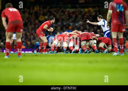 Cardiff, Galles. Il 21 febbraio, 2014. Il Galles scrum-metà Mike Phillips (Racing M&#xe9;tro) circa per mettere in scrum sotto ferma istruzioni dall'arbitro durante Sei Nazioni di gioco tra il Galles e la Francia dal Millennium Stadium. Credito: Azione Sport Plus/Alamy Live News Foto Stock