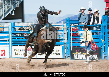 Tucson, Arizona, Stati Uniti. Il 21 febbraio, 2014. Bullrider RIKER CARTER ha preso la giornata con 80 punti alla quarta prestazione della Fiesta de Los Vaqueros a Tucson, in Arizona Carter appariranno probabilmente in finali di domenica. Credito: Sarà Seberger/ZUMAPRESS.com/Alamy Live News Foto Stock