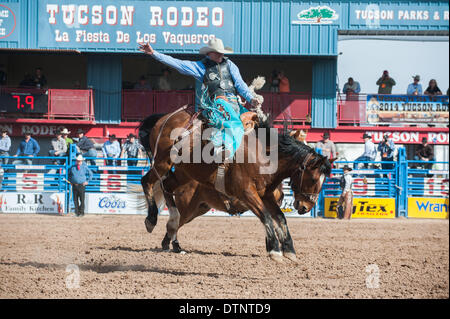 Tucson, Arizona, Stati Uniti. Il 21 febbraio, 2014. TROY ha preso CROWSER Top honors in sella bronc evento presso la quarta prestazione della Fiesta de Los Vaqueros a Tucson, in Arizona, rigature 85 punti. Credito: Sarà Seberger/ZUMAPRESS.com/Alamy Live News Foto Stock