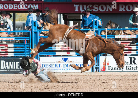 Tucson, Arizona, Stati Uniti. Il 21 febbraio, 2014. Bareback rider JARED verde prende a calci in testa dopo essere stato gettato dal suo cavallo durante la quarta prestazione della Fiesta de Los Vaqueros a Tucson, in Arizona Verde era in grado di camminare al di fuori dell'arena sul suo proprio. Credito: Sarà Seberger/ZUMAPRESS.com/Alamy Live News Foto Stock