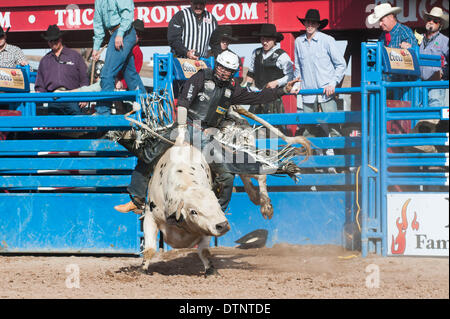 Tucson, Arizona, Stati Uniti. Il 21 febbraio, 2014. ROCKY MCDONALD prende una svolta sul toro ''Crusader'' alla quarta prestazione della Fiesta de Los Vaqueros a Tucson, in Arizona McDonald, nativo di Chihuahua, Mex., scivolare un po' presto, risultante in un no-cliente. Credito: Sarà Seberger/ZUMAPRESS.com/Alamy Live News Foto Stock