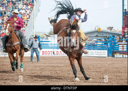 Tucson, Arizona, Stati Uniti. Il 21 febbraio, 2014. CALEB Bennett, ha preso 86 punti in bareback in sella alla quarta prestazione della Fiesta de Los Vaqueros a Tucson, in Arizona Bennett si passerà alla finalissima. Credito: Sarà Seberger/ZUMAPRESS.com/Alamy Live News Foto Stock