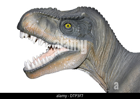 Testa di dinosauro Foto Stock