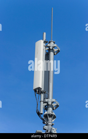 Alberi di Telecom Foto Stock