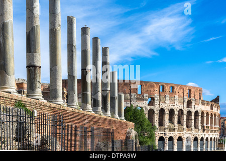 Il Colosseo o il Colosseo, l'Anfiteatro Flavio Foto Stock