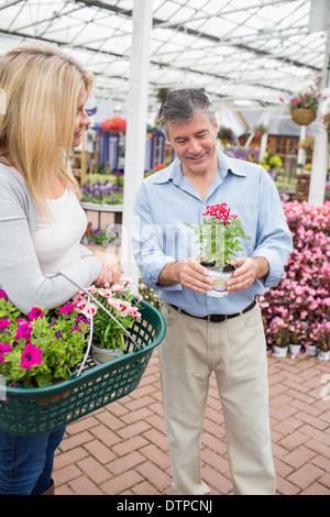 Paio di decidere su un impianto Foto Stock