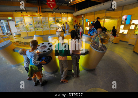 Museo Ecomare, De Koog, esposizione del parco nazionale Duinen van Texel, Isola di Texel, Paesi Bassi Foto Stock