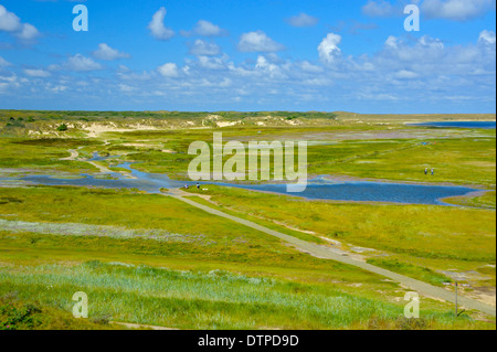 Riserva naturale De Slufter, vista dal punto di vista, Isola di Texel, Paesi Bassi Foto Stock