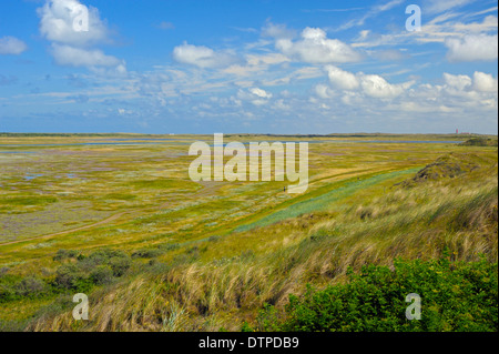 Riserva naturale De Slufter, vista dal punto di vista, Isola di Texel, Paesi Bassi Foto Stock