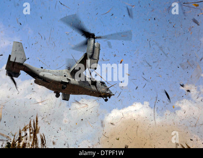 Un US Marine Corps MV-22B Osprey aeromobile a rotore inclinabile si prepara a terra durante la fase di esercizio Cobra Gold 12 febbraio 2014 presso il Camp di Ban Chan Krem, Thailandia. Foto Stock