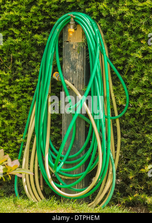 Tubo flessibile da giardino avvolte a spirale attorno ad un rubinetto esterno Foto Stock