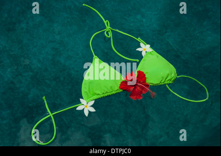 Verde top bikini galleggianti in piscina con fiori di Plumeria e un fiore di ibisco Foto Stock