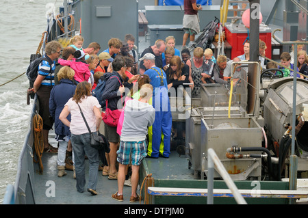 Turisti per la pesca dei gamberetti imbarcazione, Oudeschild, Isola di Texel, Paesi Bassi Foto Stock