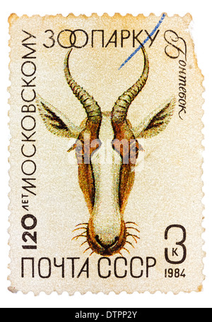 Unione Sovietica - circa 1984: il timbro postale stampato in URSS mostra una gazzella, serie 120 anniversario dello Zoo di Mosca, circa 1984 Foto Stock