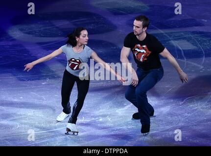 Sochi, Russia. Il 22 febbraio 2014. Ksenia Stolbova e Fedor Klimov della Russia eseguire durante il pattinaggio di figura mostra di gala al pattinaggio Iceberg Palace durante il Sochi 2014 Giochi Olimpici di Sochi, Russia, 22 febbraio 2014. Foto: Christian Charisius/dpa/Alamy Live News Foto Stock