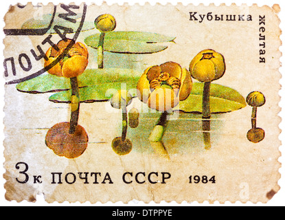 Timbro postale stampato in URSS (CCCP, Unione Sovietica) mostra immagine di ninfee da piante acquatiche serie Foto Stock