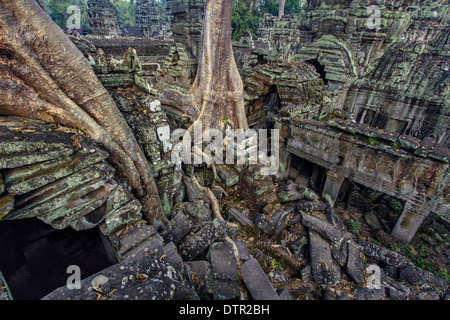 Vista da Ta Prohm tetto Foto Stock