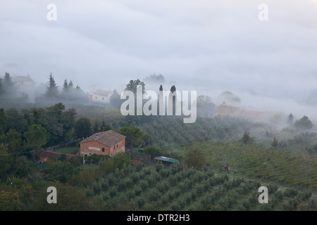 Nebbia di mattina sulle piste al di sotto di Montepulciano, Toscana, Italia. Credito Jo Whitworth Foto Stock