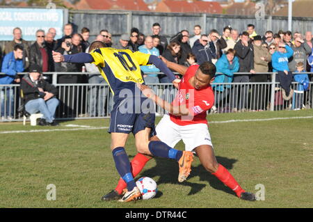 Gosport Borough v Havant & Waterlooville, Semi Finale, FA Trofeo, 22 febbraio 2014 (c) Paolo Gordon, Alamy Live News Foto Stock