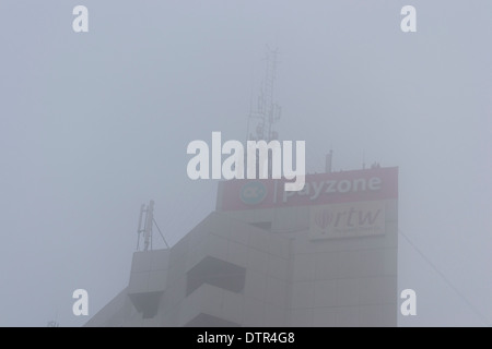 Alberi di Telecom Foto Stock