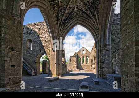 Abbazia di Jerpoint Contea di Kilkenny Irlanda Foto Stock