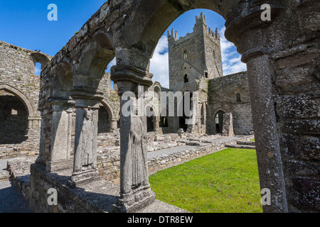 Abbazia di Jerpoint Contea di Kilkenny Irlanda Foto Stock