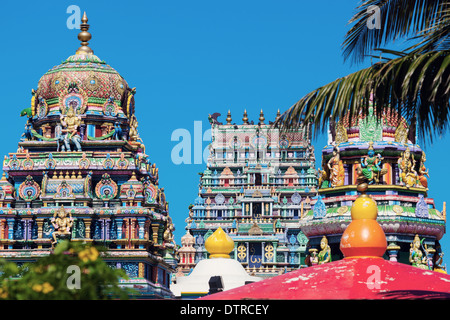 Sri Siva Subramaniya Swami Tempio Hindu a Nadi, Isole Figi Foto Stock