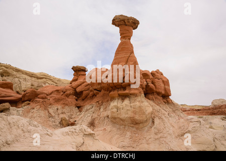 Toadstool Rimrocks Hoodoos, Escalante Scalone monumento nazionale, Utah, Stati Uniti d'America Foto Stock
