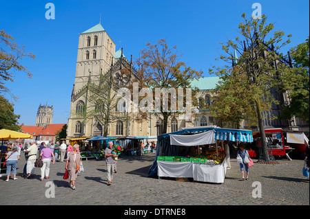 Cattedrale di San Paolo e di mercato, Munster, Munsterland, Nord Reno-Westfalia, Germania Foto Stock